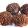 BlackWalnut