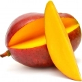 Mangue verte