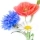 Fleurssauvages