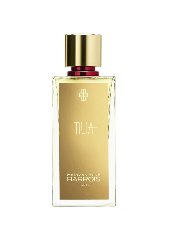 Tilleul Lumière / Tilia Marc-Antoine Barrois