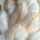Plumes