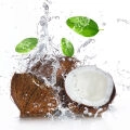 Eau de coco