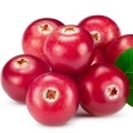 Fruits rouges