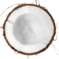 Noix de Coco